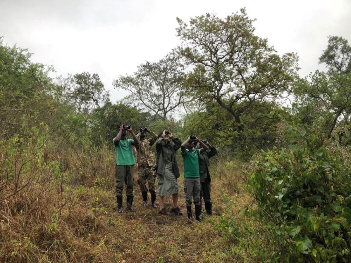 A photograph of tourists and their guide taken during a birdwatching tour in the Katonga Wildlife Reserve, Western Uganda