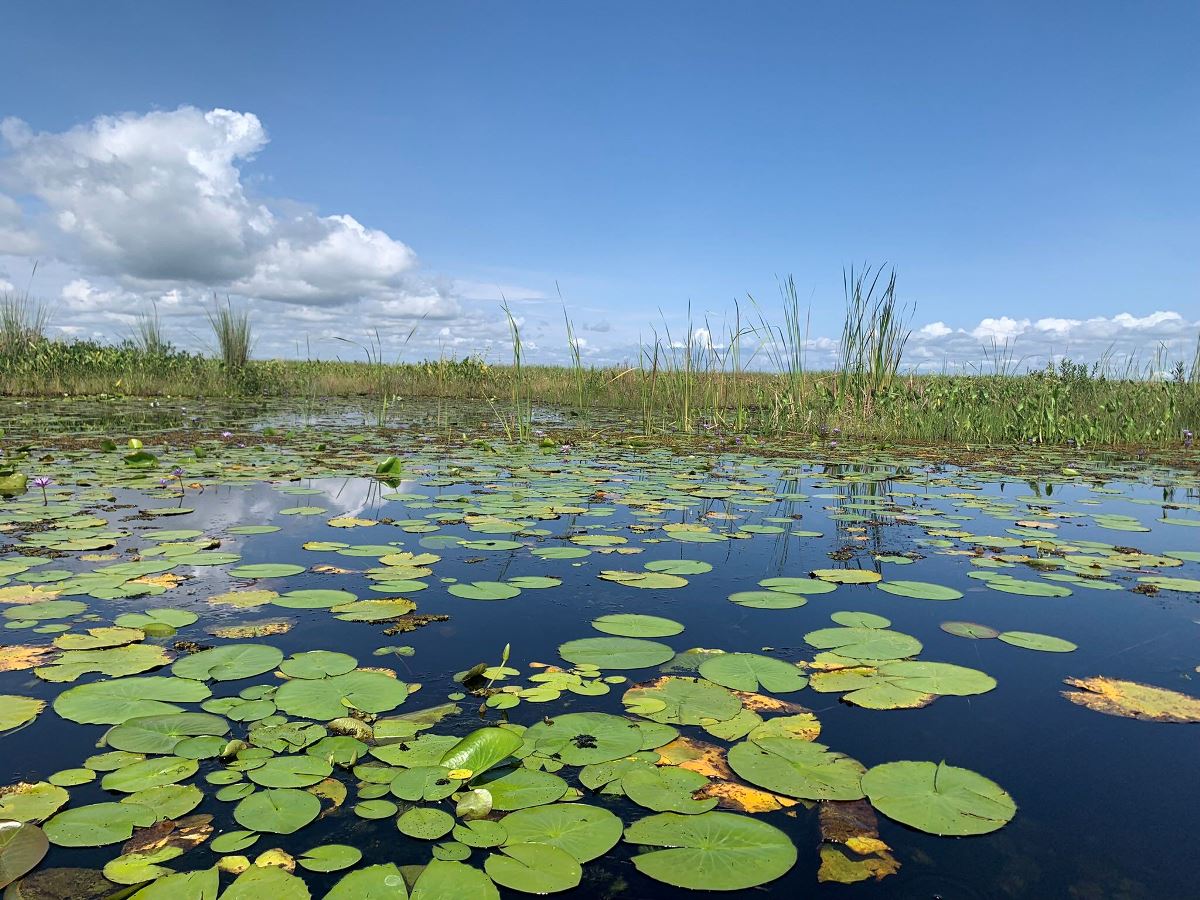 A photograph of Lake Opeta located in Eastern Uganda