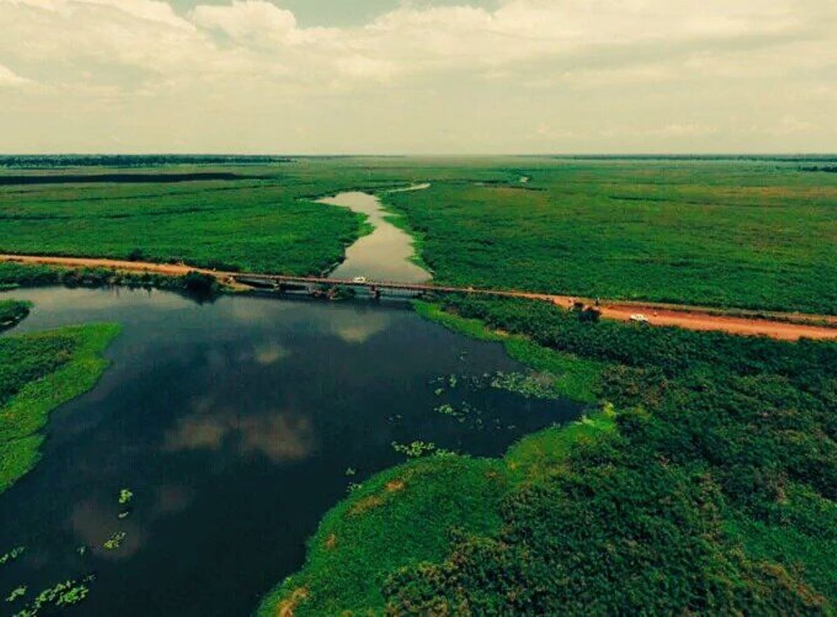 A photograph showing the aerial view of Mpologoma River in Eastern Uganda