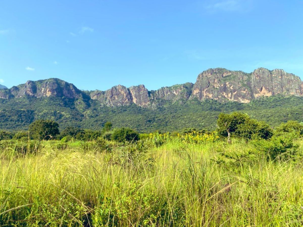 A photograph of Mount Kadam located in Eastern Uganda