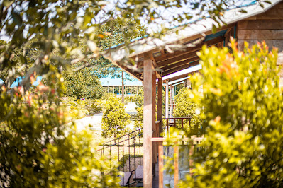 Room Exterior Photo Sinza Resort Hotel Bussi Uganda Central Region