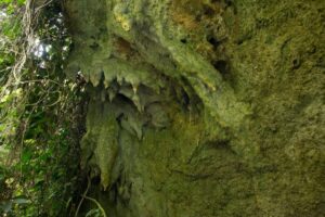 Photograph taken from the Amabere ga Nyina Mwiru caves in Western Uganda