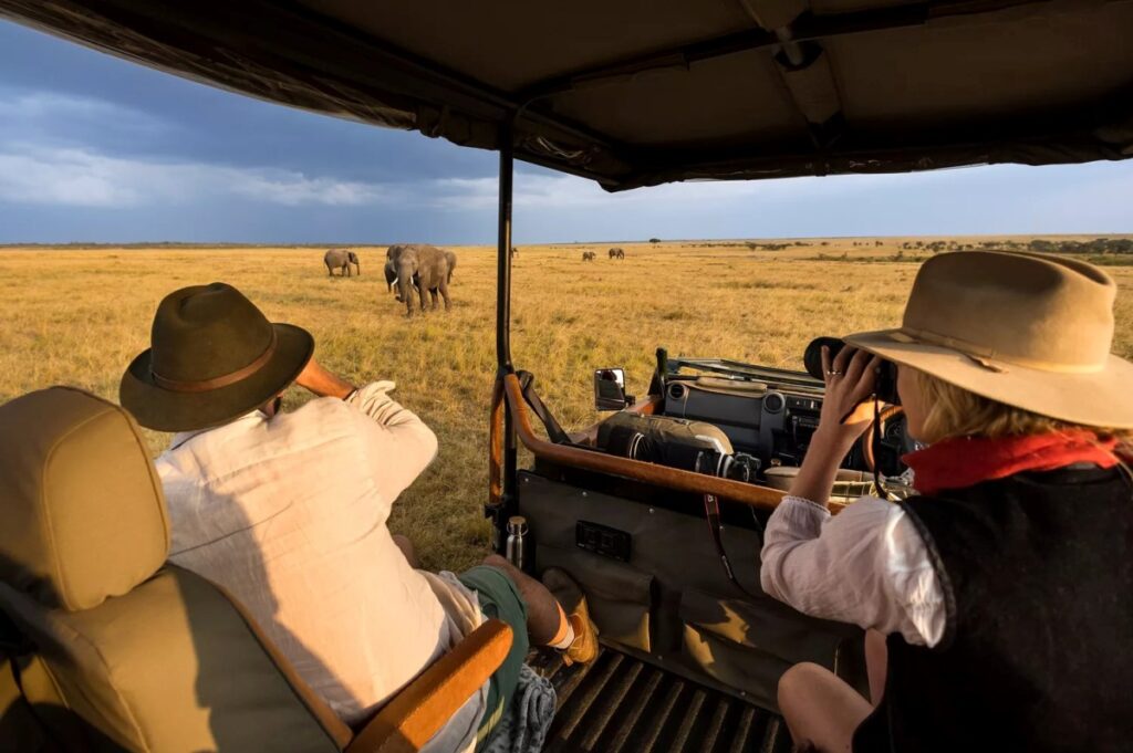 Guests on a game drive looking at elephants in Maasai Mara National Reserve, Kenya