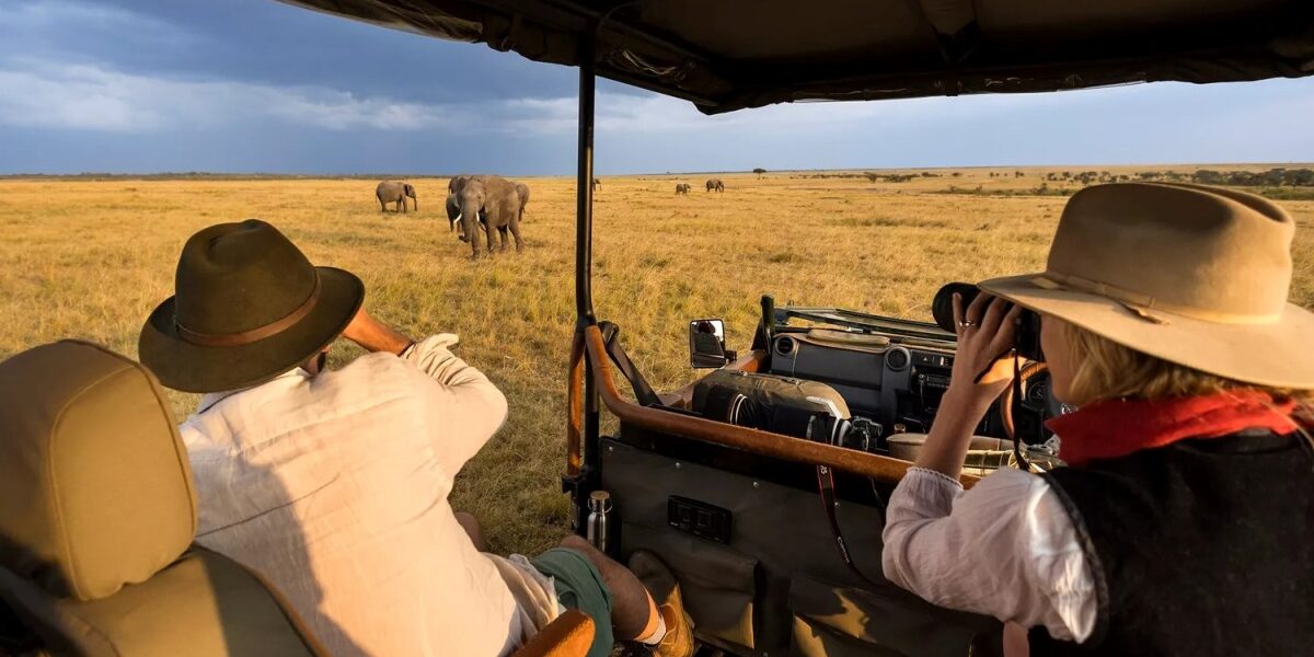 Guests on a game drive looking at elephants in Maasai Mara National Reserve, Kenya