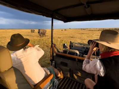 Guests on a game drive looking at elephants in Maasai Mara National Reserve, Kenya