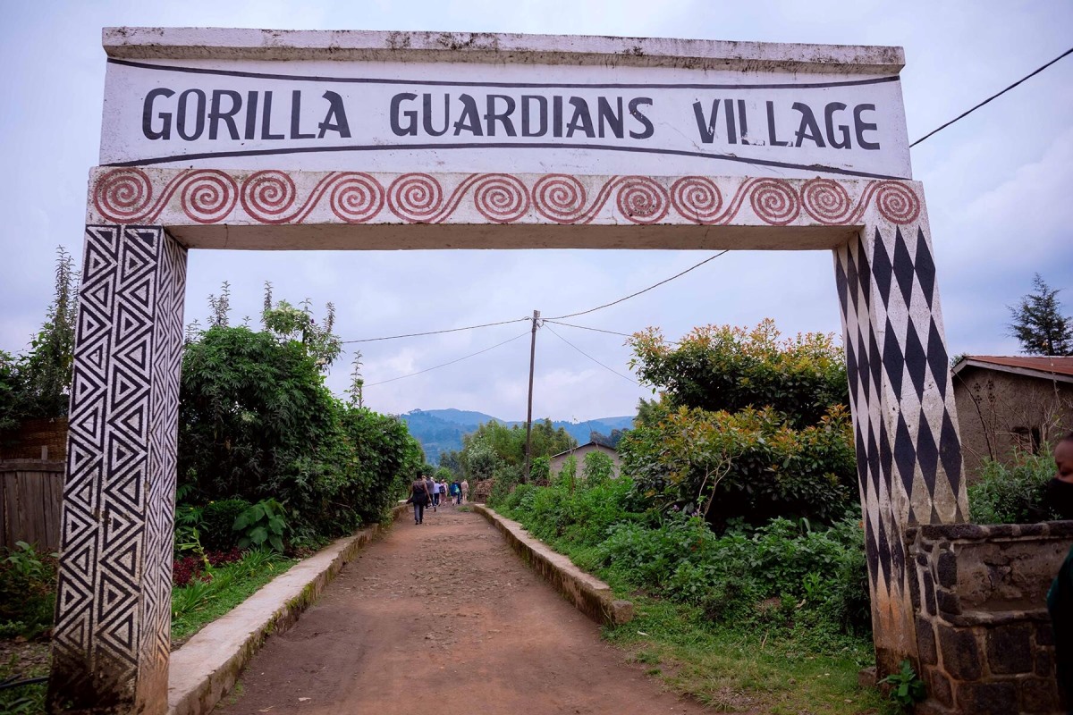 Photograph of the entrance to the Gorilla Guardians Village taken during a cultural tour in Musanze District in Rwanda