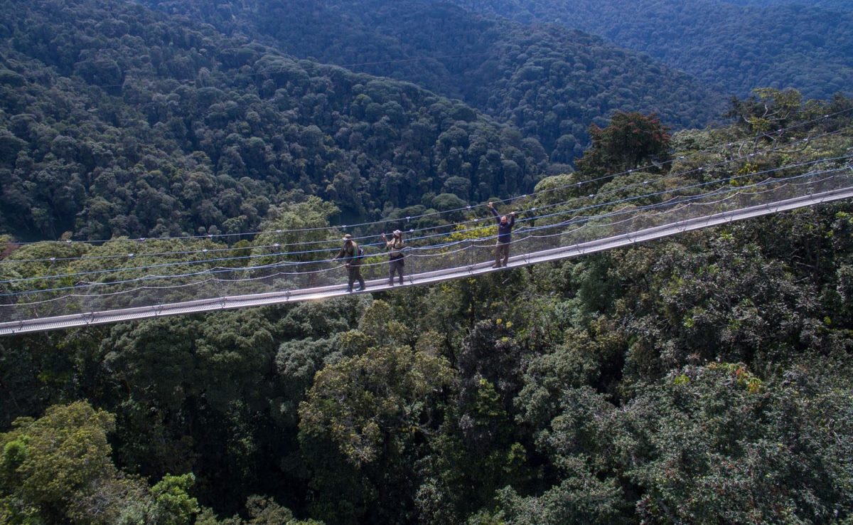 Photograph of tourists and their guide taken during a hiking tour in Nyungwe National Park in Rwanda