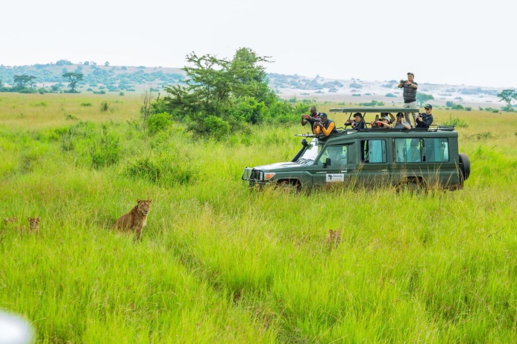 A photograph of the tour operators from the Association of Southeast Asian Nations taken during a wildlife safari game drive in of Uganda's National Parks