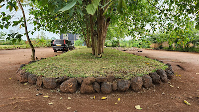 Gardens Photo The River Lodge Jinja Uganda Eastern Region 1