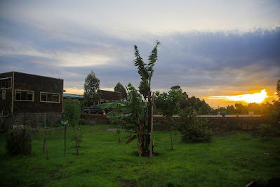 Gardens Photo Mgahinga Gorilla triangle Lodge Kisoro Uganda Western Region