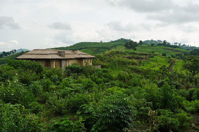 Property Exterior Photo Volcanoes Safaris Kibale Lodge Kibale Forest National Park Uganda Western Region