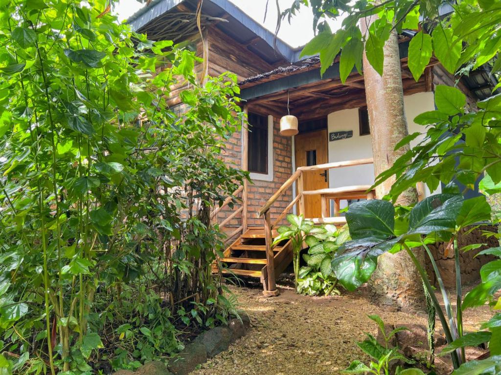 Room Exterior Photo Tilapia Lodge Entebbe Uganda Central Region 1