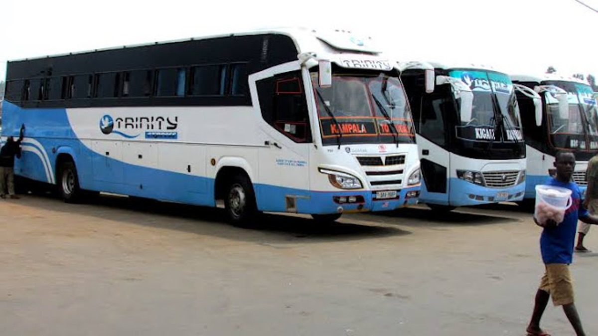 Photograph of one of the many Trinity Buses