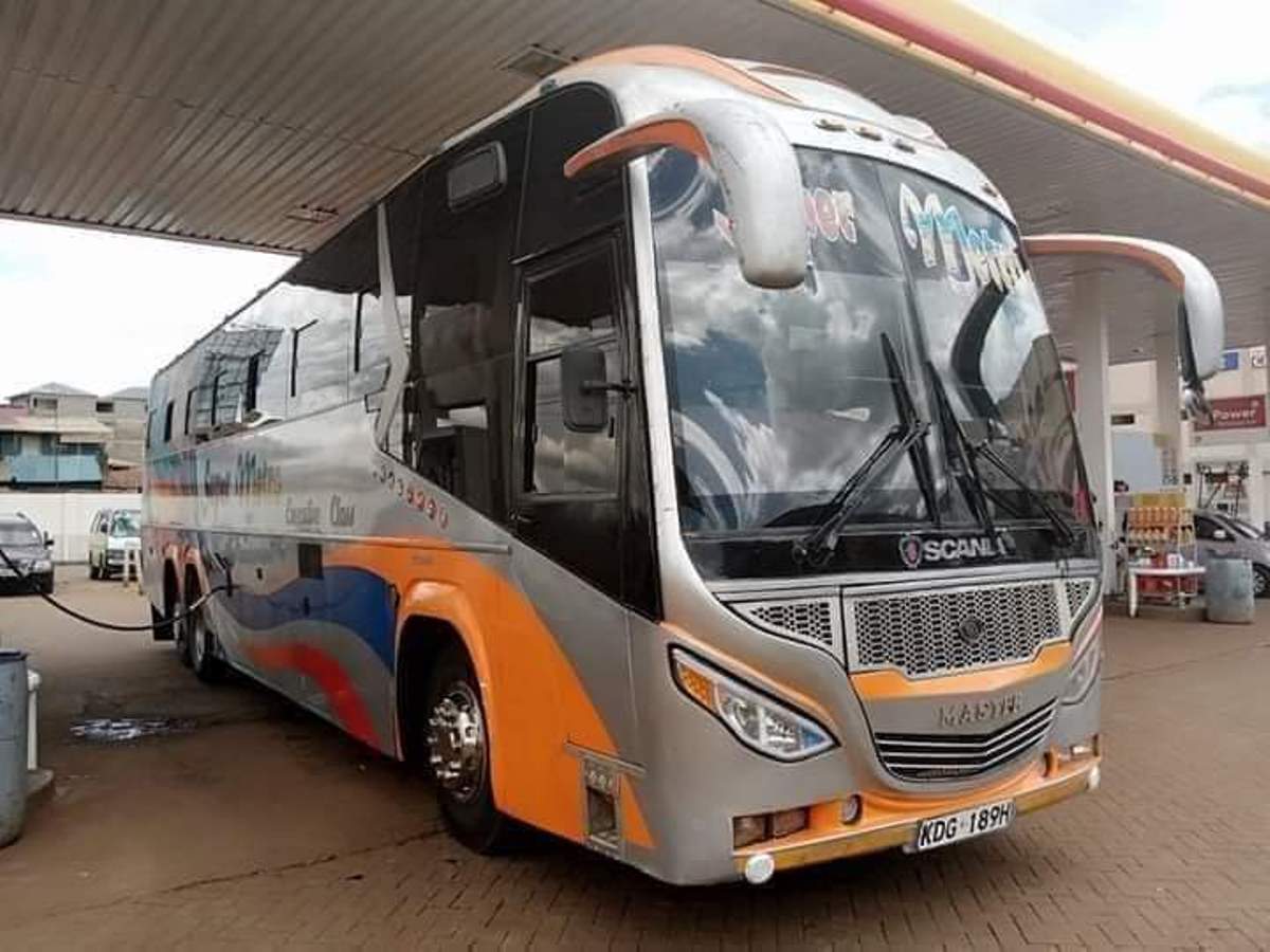 Photograph of one of the many Palmer's Buses