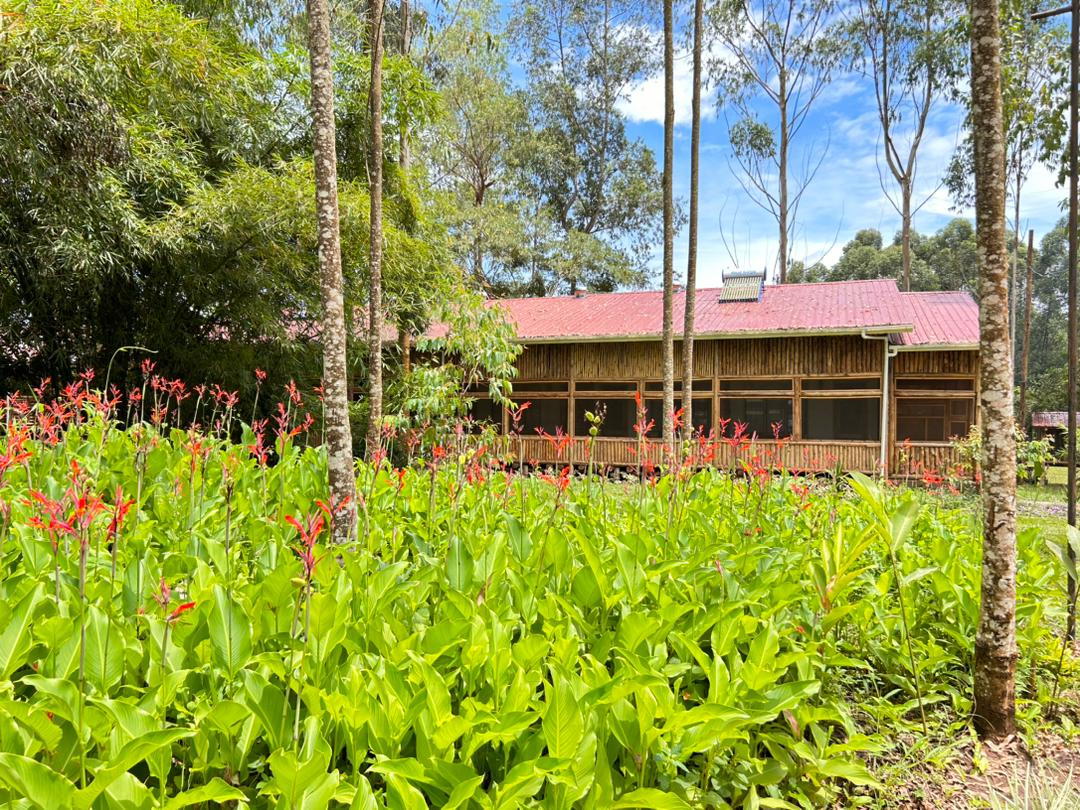 Gardens Photo The Great Outdoors Kalanamu Uganda Central Region 1