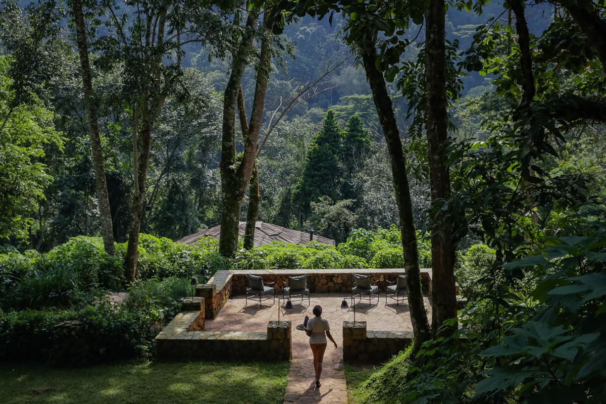 Fire Palce Photo Bwindi Lodge Buhoma, Bwindi Impenetrable National Park Uganda Western Region