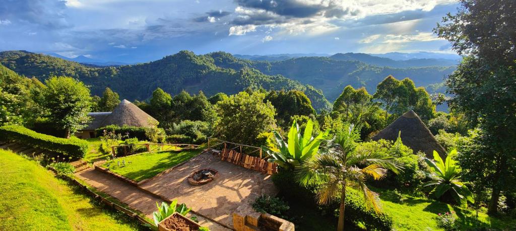 Gardens Photo Agandi Uganda Eco-lodges Bwindi National Park Uganda Western Region