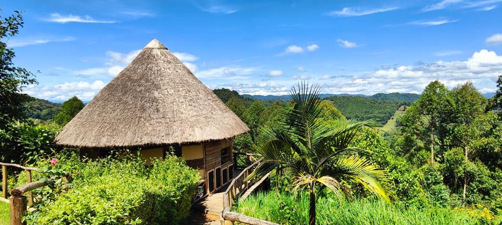 Property Exterior Photo Agandi Uganda Eco-lodges Bwindi National Park Uganda Western Region