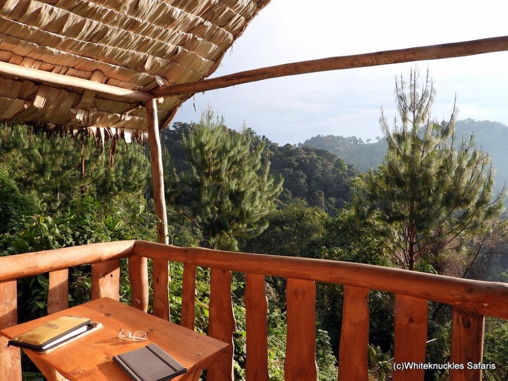 Balcony Photo Broadbill Forest Camp Kabale Uganda Western Region 1