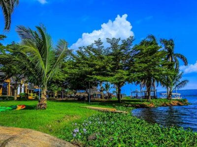 Photograph of the natural environment at Jinja Sailing Club in Jinja, Eastern Uganda