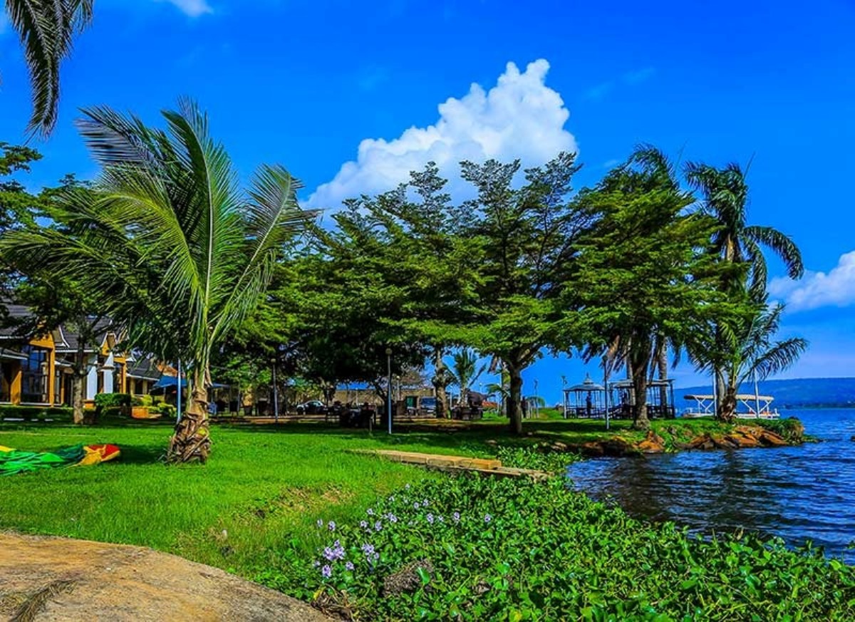 Photograph of the natural environment at Jinja Sailing Club in Jinja, Eastern Uganda