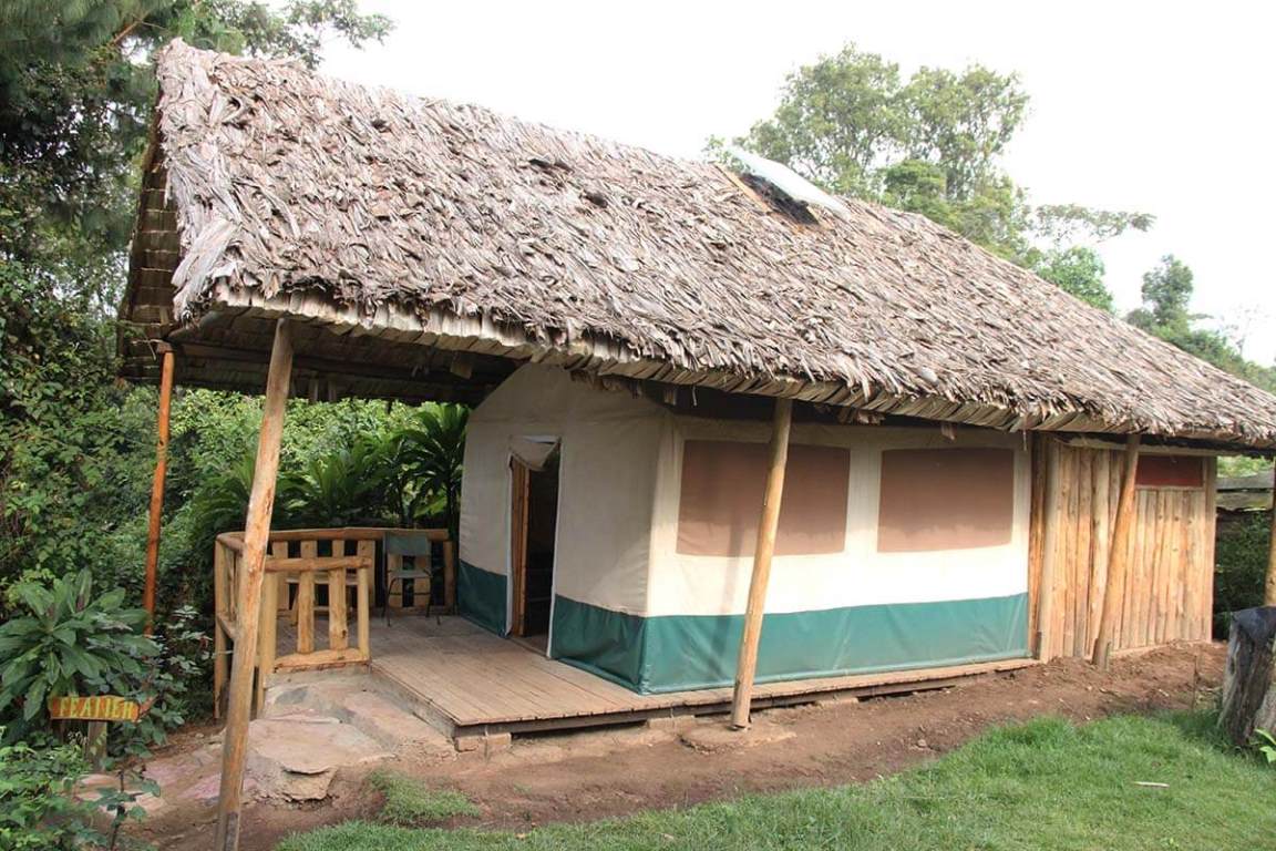 New Tent Photo Broadbill Forest Camp Kabale Uganda Western Region