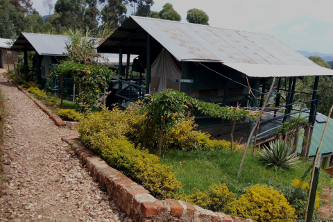 Property Exterior Photo Ruhija Gorilla Friends Campsite Ruhija Bwindi Impenetrable National Park Uganda Western Region