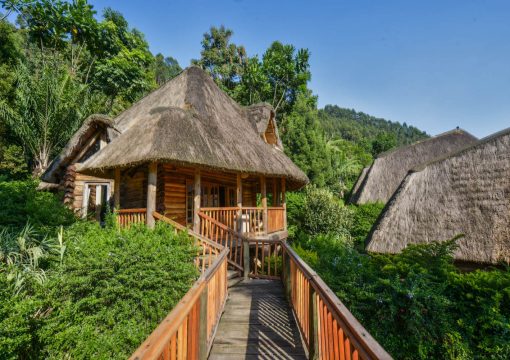 Property Exterior Photo Trackers Safari Lodge Bwindi Uganda Western Region 1