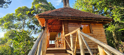 Restaurant Exterior Photo Agandi Uganda Eco-lodges Bwindi National Park Uganda Western Region