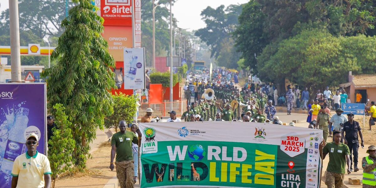 Photograph taken during the celebration of the World Wildlife Day in Lira City, Uganda