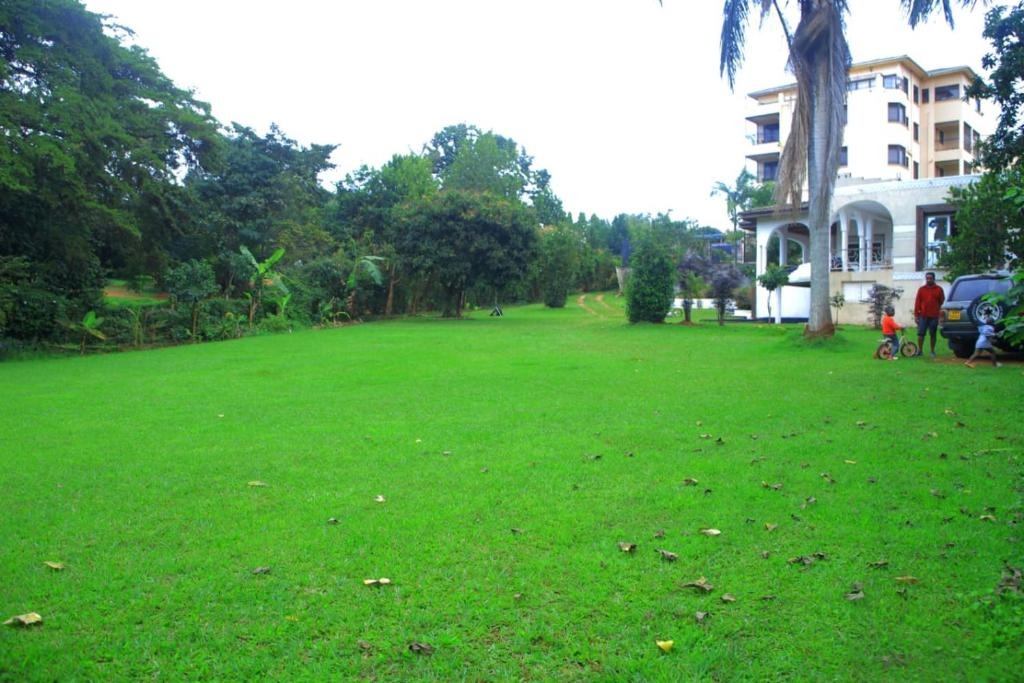 Gardens Photo Egg Botanical View Entebbe Central Region