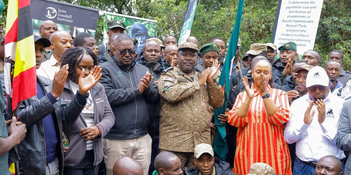 Uganda recently launched the Bwindi-Sarambwe mountain gorilla and inaugural chimpanzee census 2025 at the Institute of Tropical Forest Conservation (ITFC) in Ruhija, Bwindi Impenetrable National Park