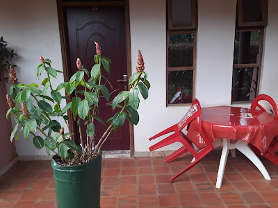 Balcony Photo Panorama Cottages Tororo Uganda Western Region