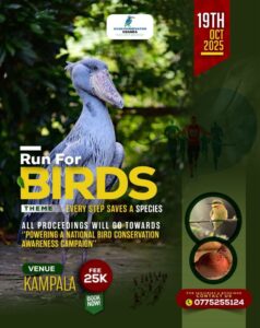 The Avian Conservation Uganda has organized an innovative "Run for Birds" event on October 19th, 2025