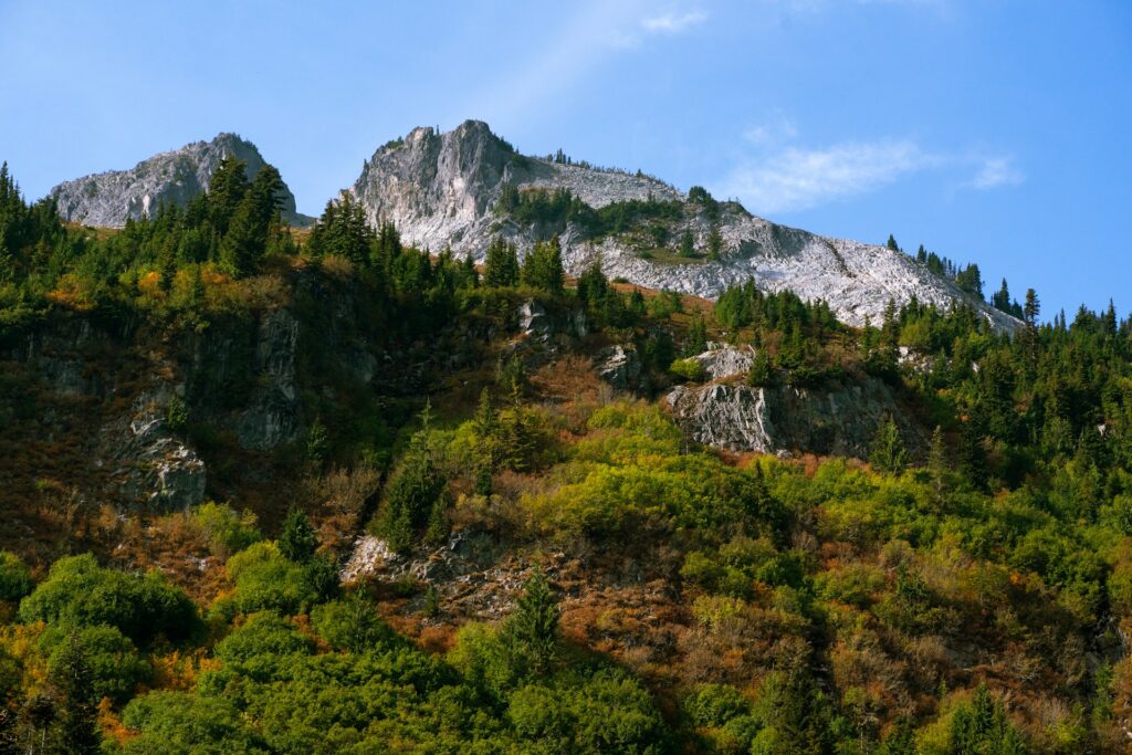 Planning a 3-day trip to Washington DC? Discover an honest, first-hand guide to making the most of your time what to prioritize, what to skip, and tips for seeing the city like a savvy traveler.