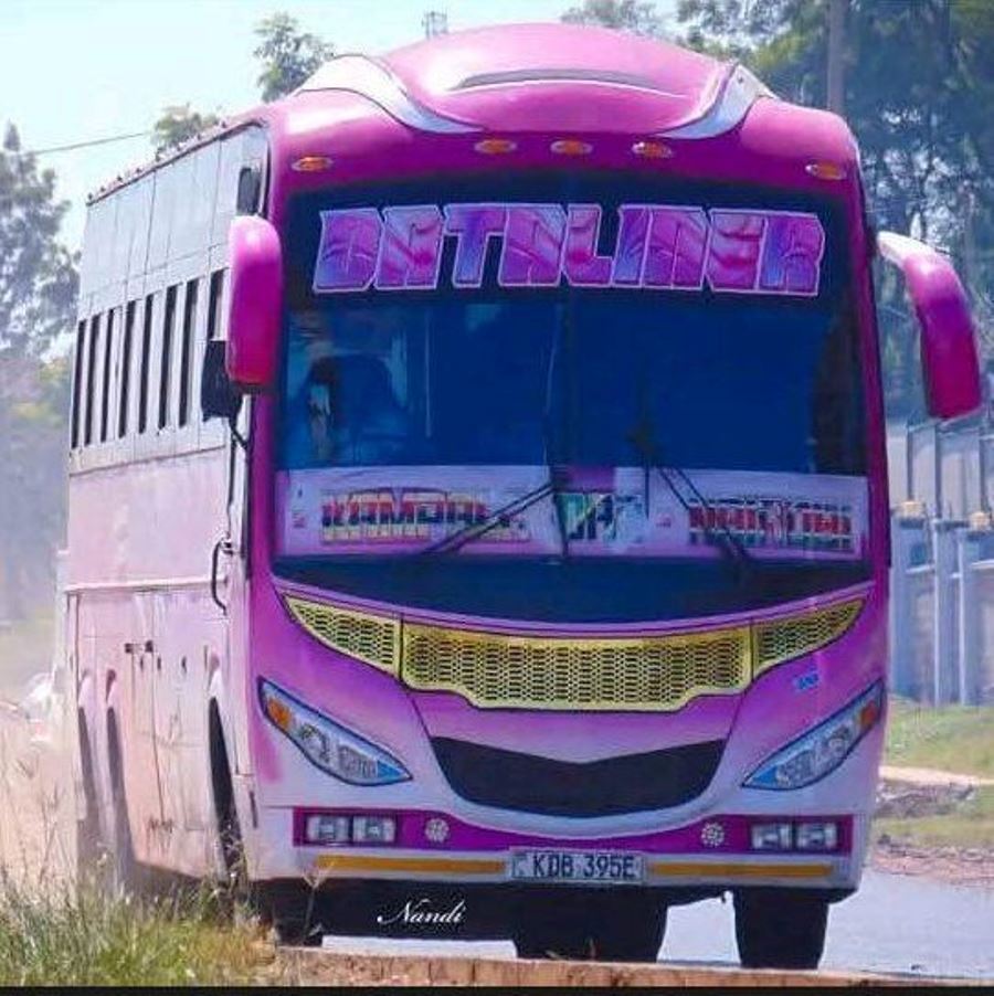 Photograph showing the exterior of the Dataliner Bus