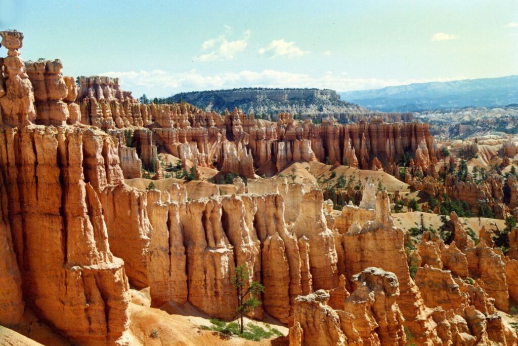 Best One Week Trip in the U.S | 7 days in USA