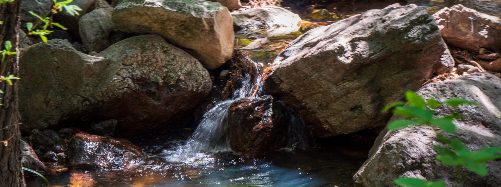 California national parks road trip