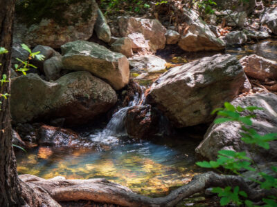 California national parks road trip