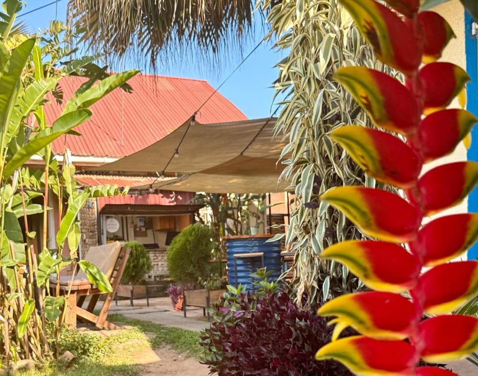 Property Exterior Photo Villa Katwe Bed & Breakfast Masaka Central Region