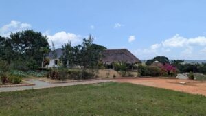 Photograph taken from Venna Farm Lodge in Buyege, Entebbe in Uganda
