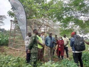 Uganda Wildlife Authority has released four rehabilitated African Grey Parrots on Ngamba Island through Uganda Wildlife Conservation Education Centre, as part of the 119 confiscated at Bunagana border in April 2022 and rehabilitated at Entebbe Zoo