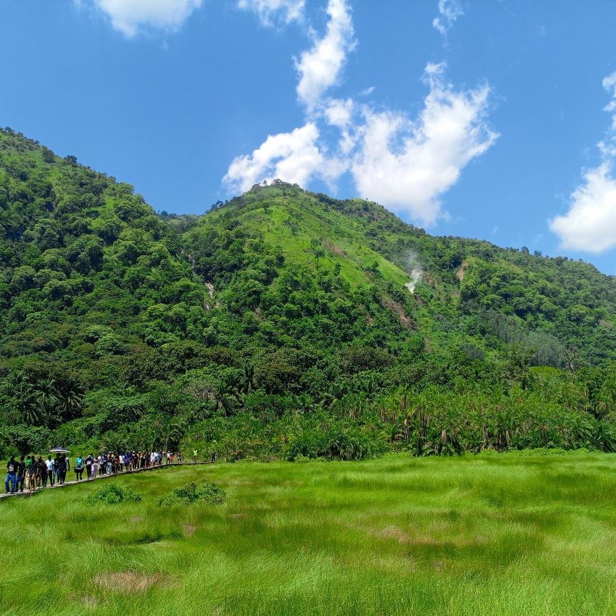 Photograph taken during a nature walking tour showing the lush green vegetation in Semuliki National Park in Western Uganda