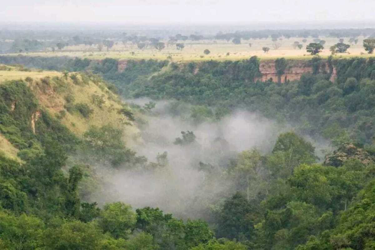 Photograph taken from the Kyambura Gorge in Southwestern Uganda