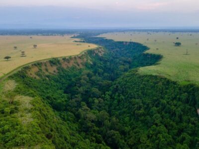 Photograph showing the Kyambura Gorge and its luch green vegetation located in Southwestern Uganda