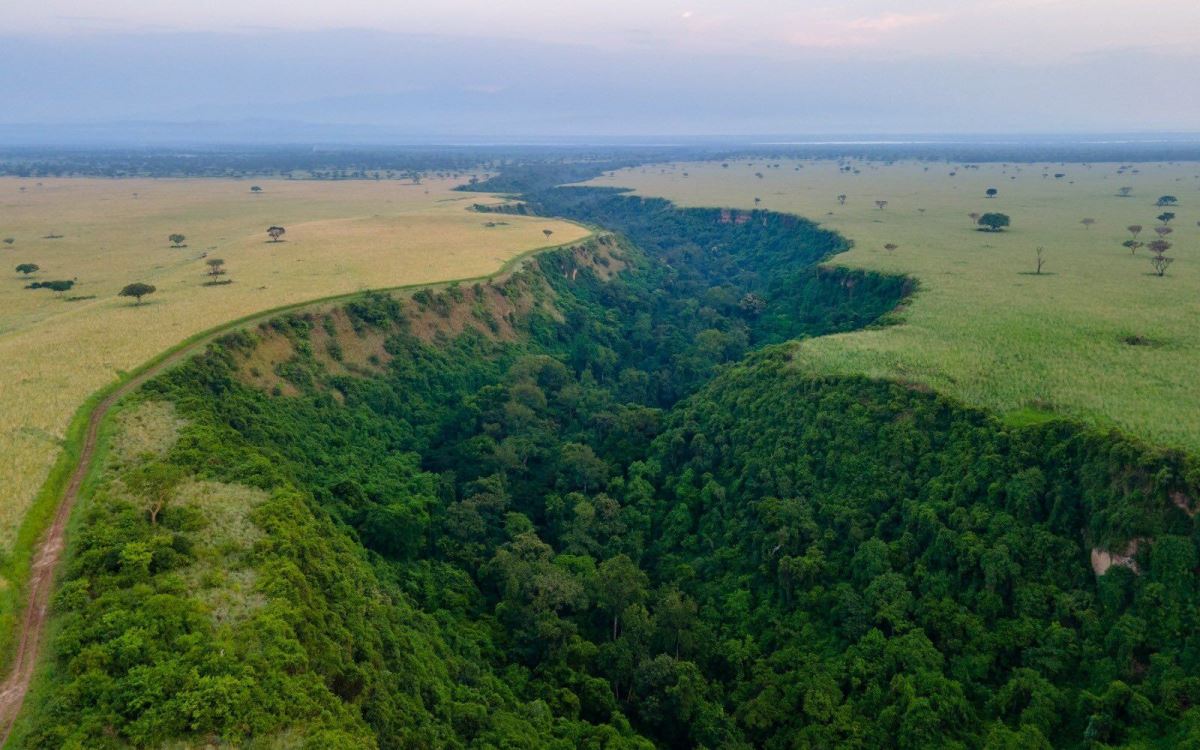 Photograph showing the Kyambura Gorge and its luch green vegetation located in Southwestern Uganda