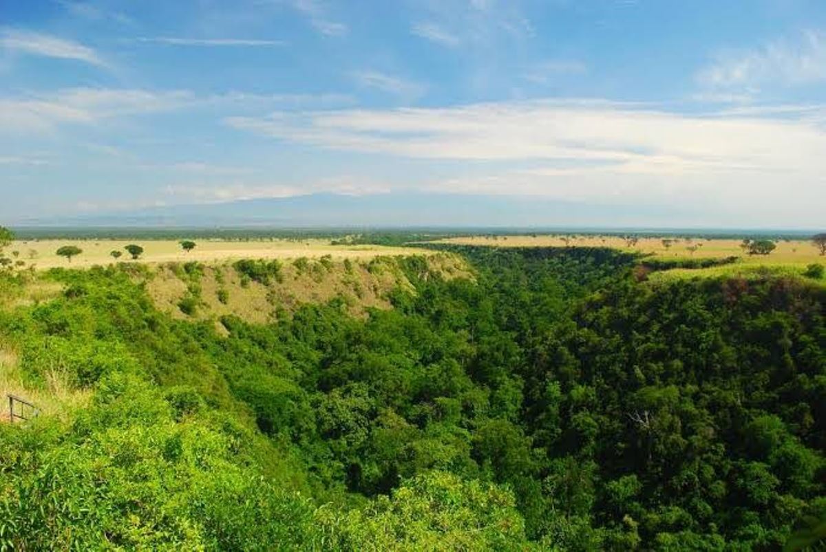 Photograph of the lush green vegetation in Kyambura Gorge in Southwestern Uganda