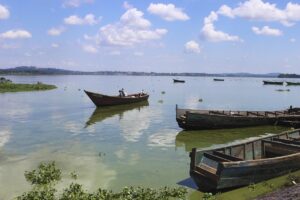 Photograph showing canoe boats with fishermen taken from Lake Victoria in Entebbe, Uganda