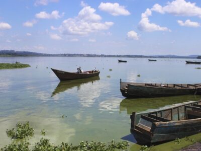 Photograph showing canoe boats with fishermen taken from Lake Victoria in Entebbe, Uganda