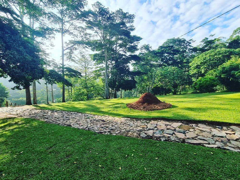 Uganda misty sunrise and Ssezibwa Falls Camp Ground with Ssezibwa Forest in the background. Photography by Ssezibwa Falls Resort Mukono Uganda